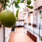 La Casupola - Gemelli Garden