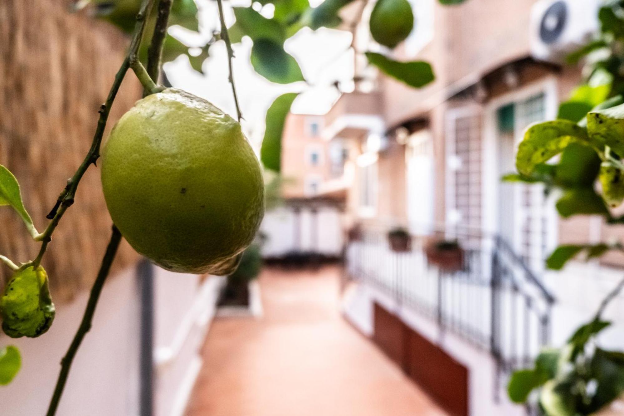 La Casupola - Gemelli Garden Apartment